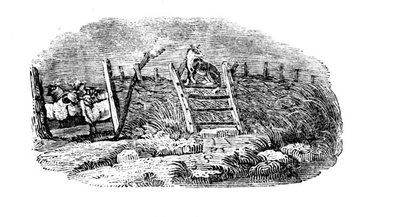 Een herdershond en schaapskooi uit Geschiedenis van Britse vogels en viervoeters door Thomas Bewick